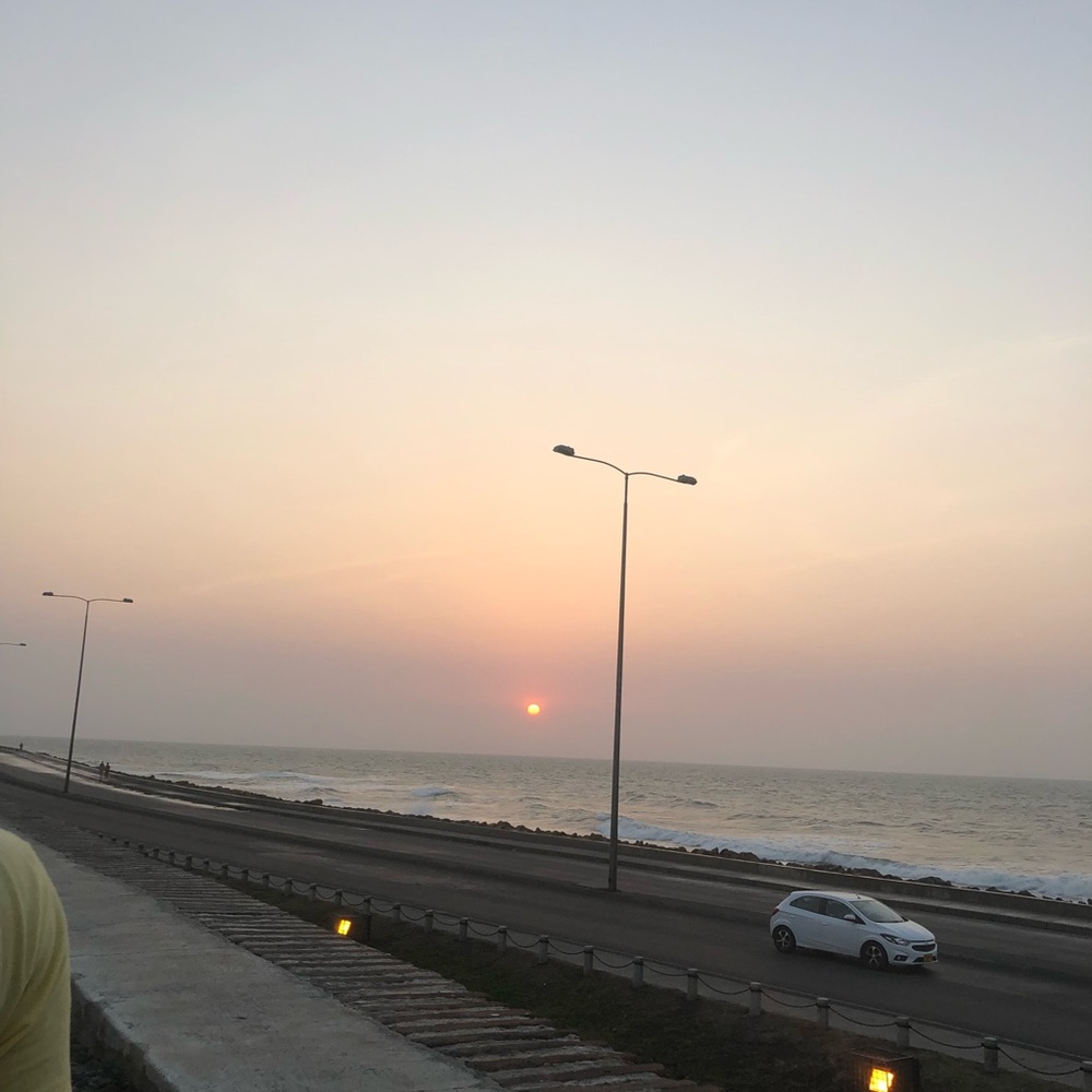 Meet your Posher, Camille